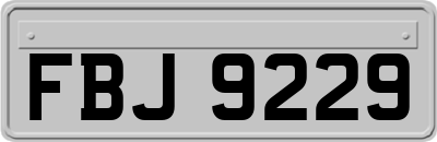 FBJ9229