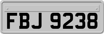 FBJ9238
