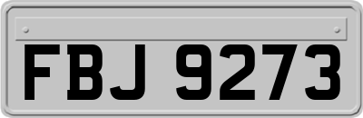 FBJ9273