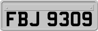 FBJ9309