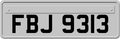FBJ9313