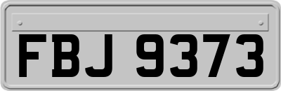 FBJ9373