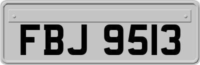 FBJ9513