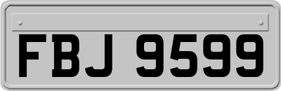 FBJ9599
