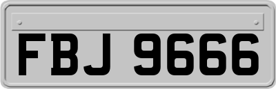 FBJ9666