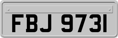 FBJ9731