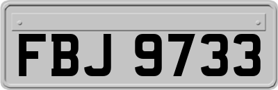 FBJ9733