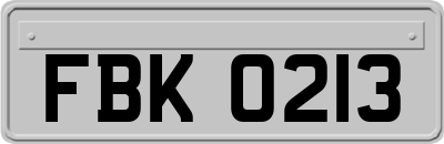 FBK0213