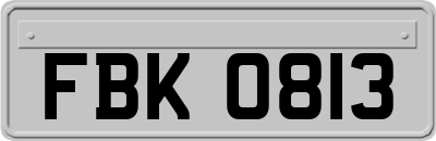 FBK0813