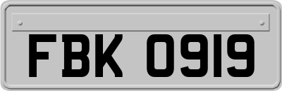 FBK0919