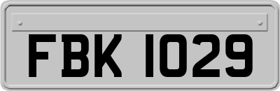 FBK1029