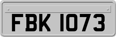 FBK1073