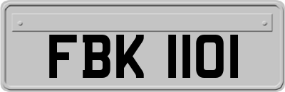 FBK1101
