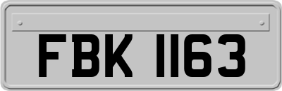 FBK1163