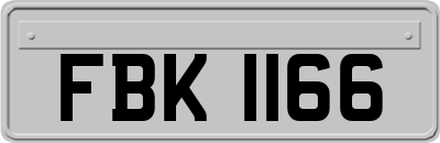 FBK1166