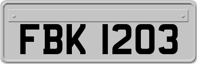 FBK1203