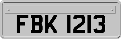 FBK1213