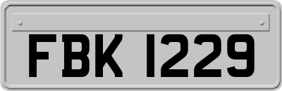 FBK1229