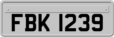 FBK1239