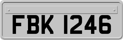 FBK1246