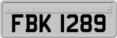 FBK1289