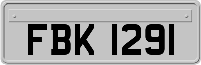 FBK1291