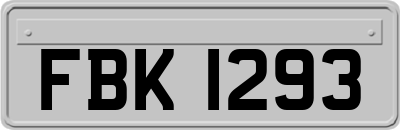 FBK1293