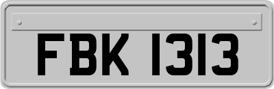FBK1313