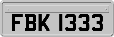 FBK1333