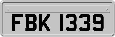 FBK1339