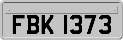 FBK1373