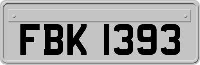 FBK1393