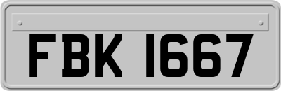 FBK1667