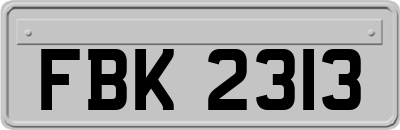 FBK2313