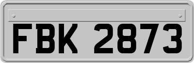 FBK2873