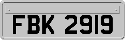 FBK2919