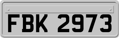 FBK2973