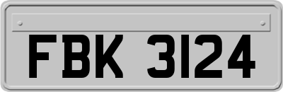 FBK3124