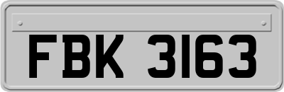 FBK3163