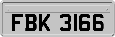 FBK3166