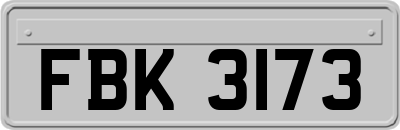 FBK3173