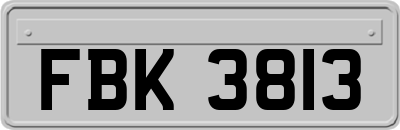FBK3813