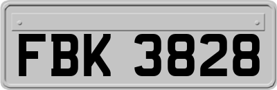 FBK3828
