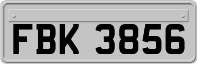 FBK3856