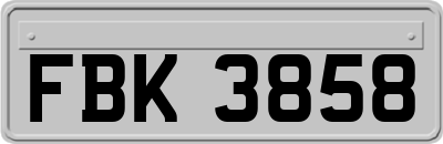 FBK3858