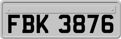FBK3876