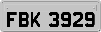 FBK3929
