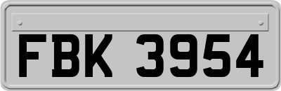 FBK3954