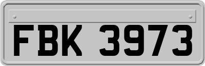 FBK3973