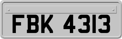 FBK4313